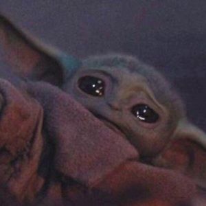 Meet your Posher, Annika